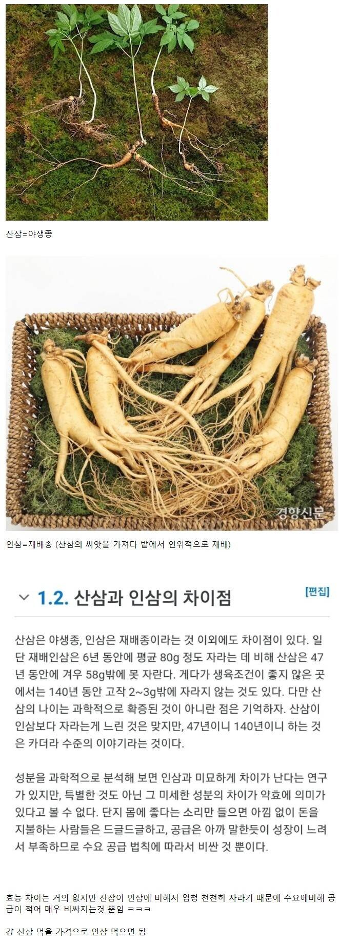 산삼과 인삼의 차이