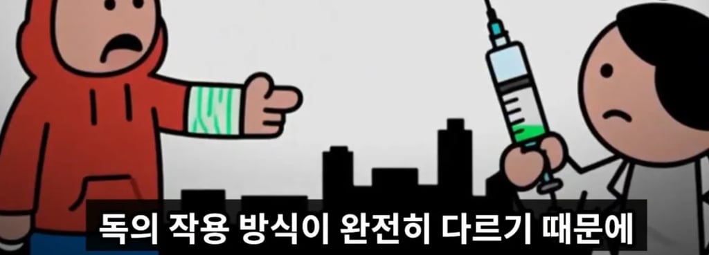 독사에게 물려 매년 10만명 이상 죽는 이유 9