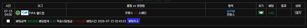 월드컵 프랑스 가즈아~