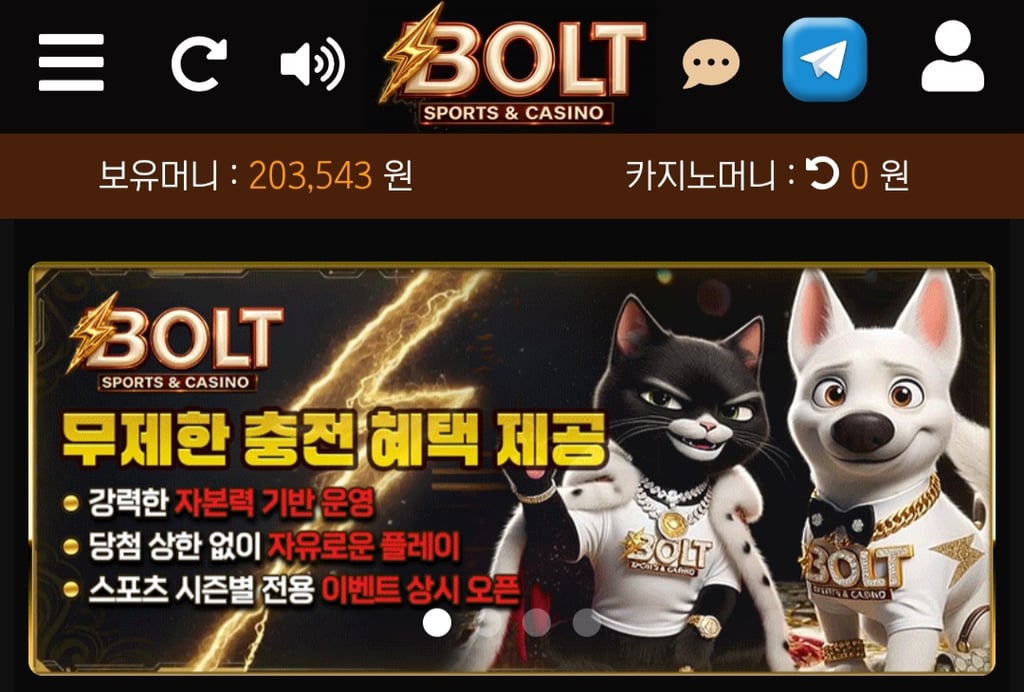 볼트카지노 후기 1