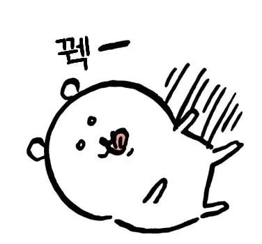 수많은 동물을 죽음으로 몰아넣은 고대 로마의 '지옥의 문' 9