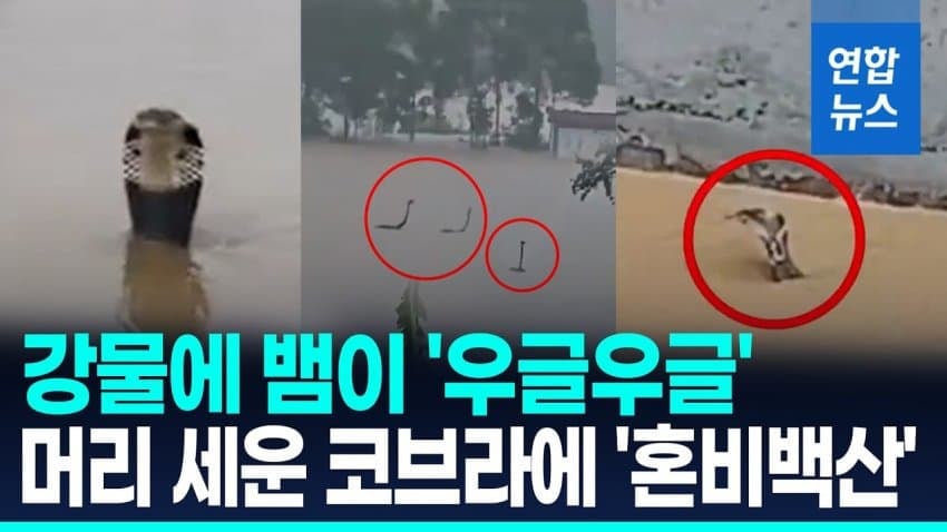 중국 남부 상황 2