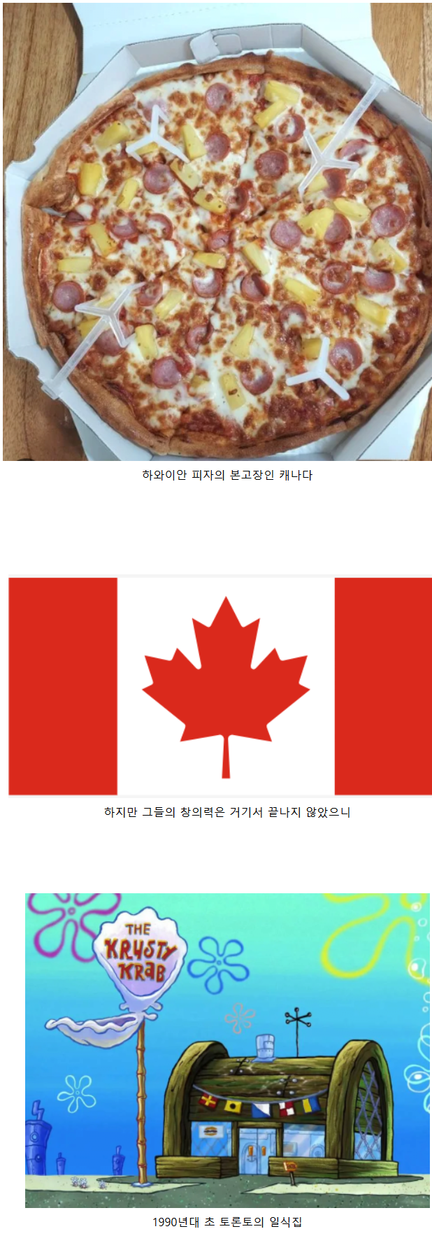 하와이안 피자의 의지를 이으려는 캐나다 1