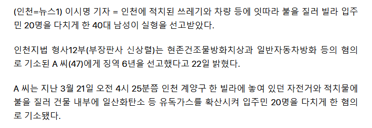 "새로 산 라이터 불 붙여보고 싶어서"…20명 다치게 한 40대 징역형 2