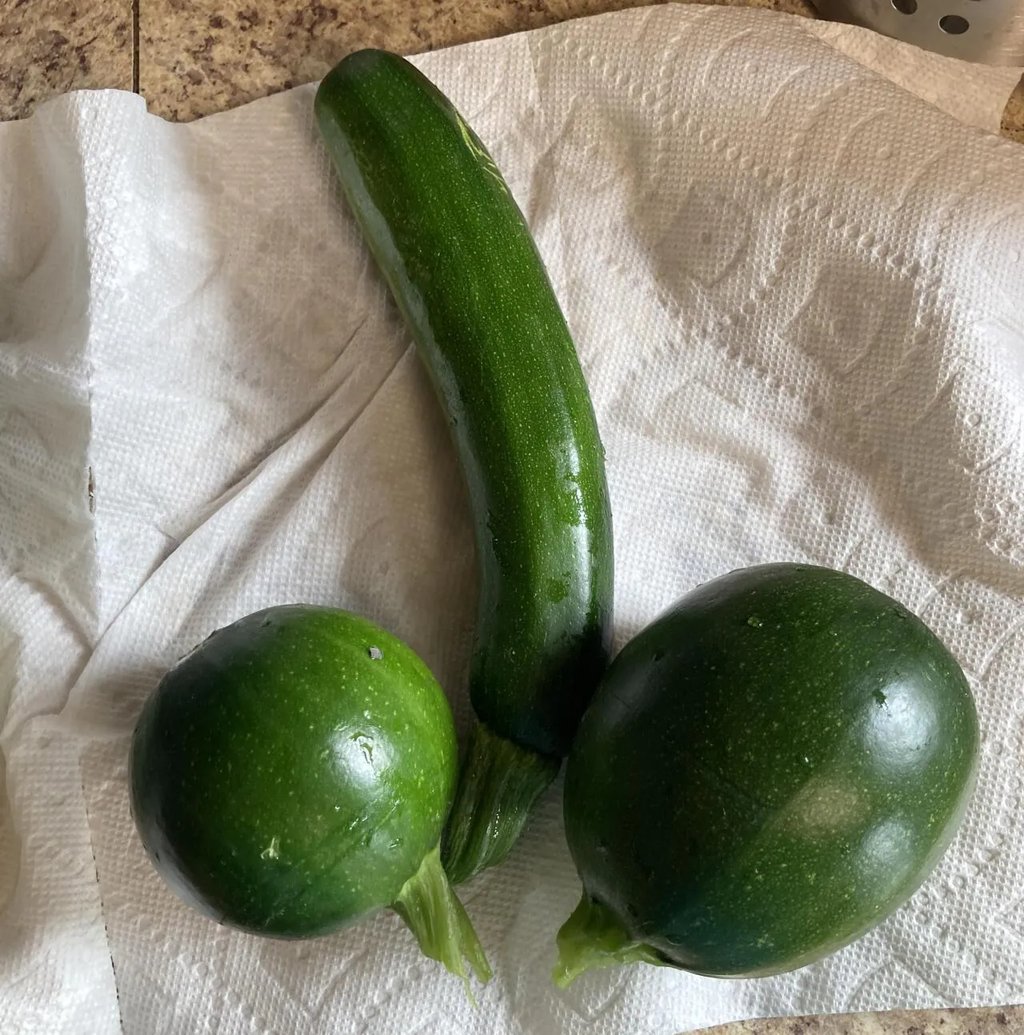 반반치킨 말고 반반애호박 3