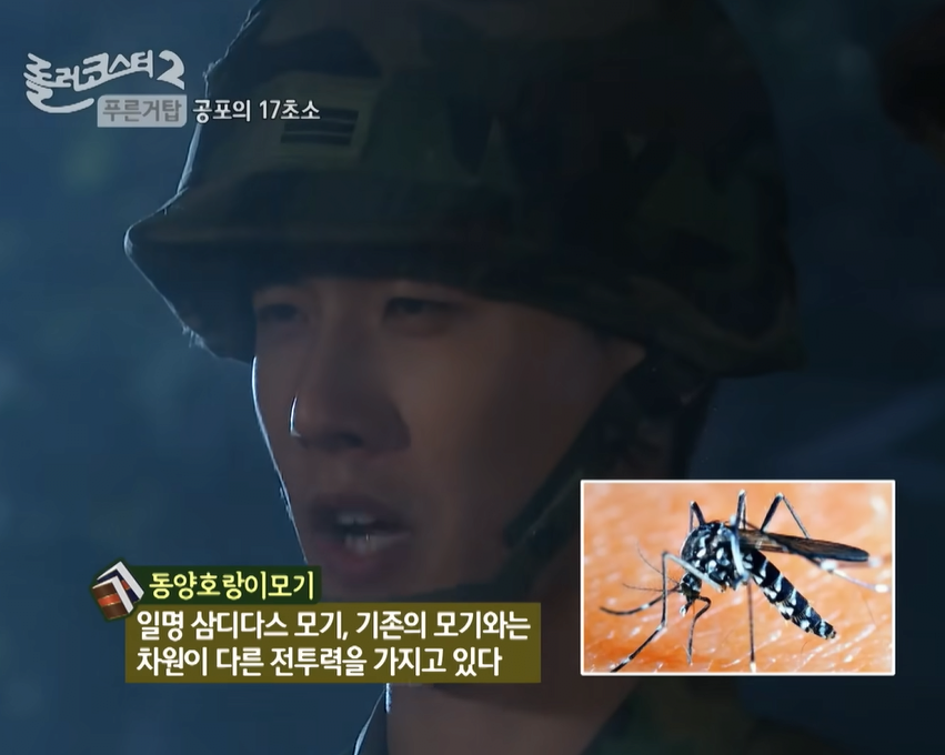 세상에서 제일 좆같은 외래종 해충 1
