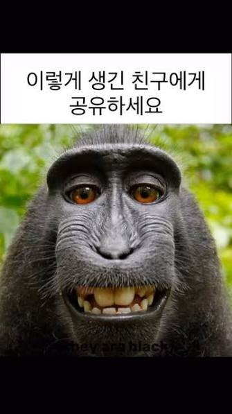 텐프로님 보답요~