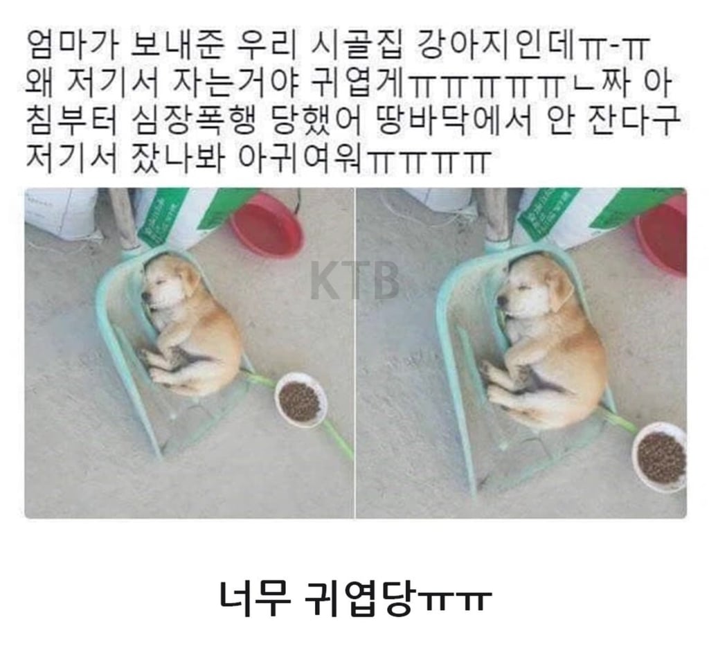 무시무시한 대한민국 시골 4