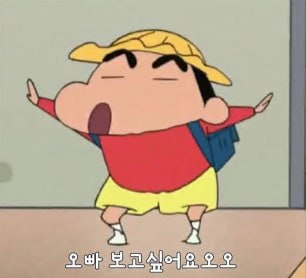 닮은살걀형