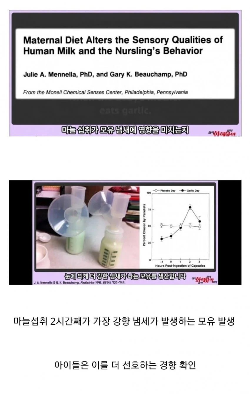 환웅 네 이놈!!! 1