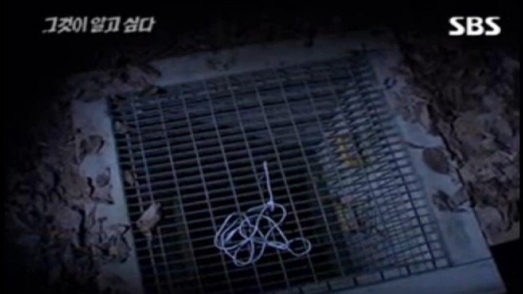 오창 맨홀 사건은 자살이 맞을까요? 1