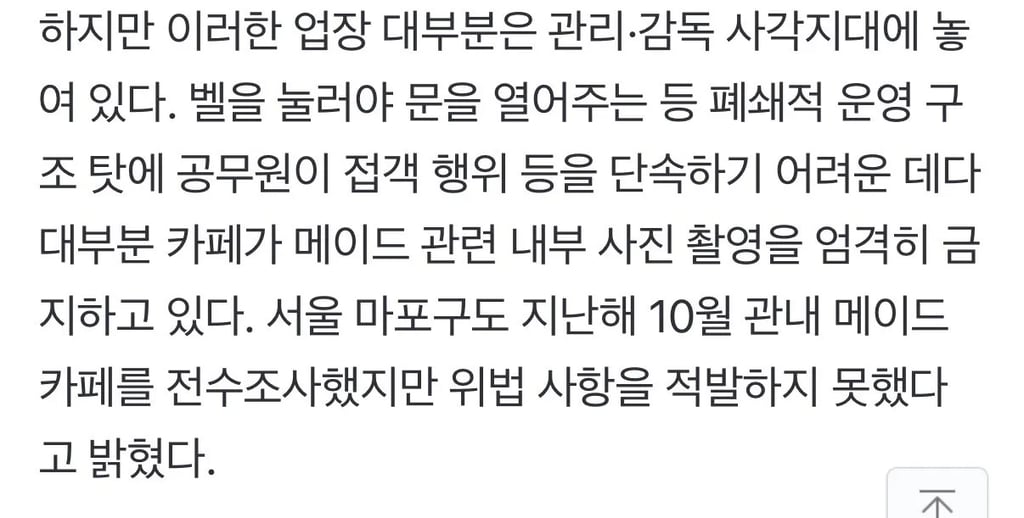 메이드카페도 단속대상 3