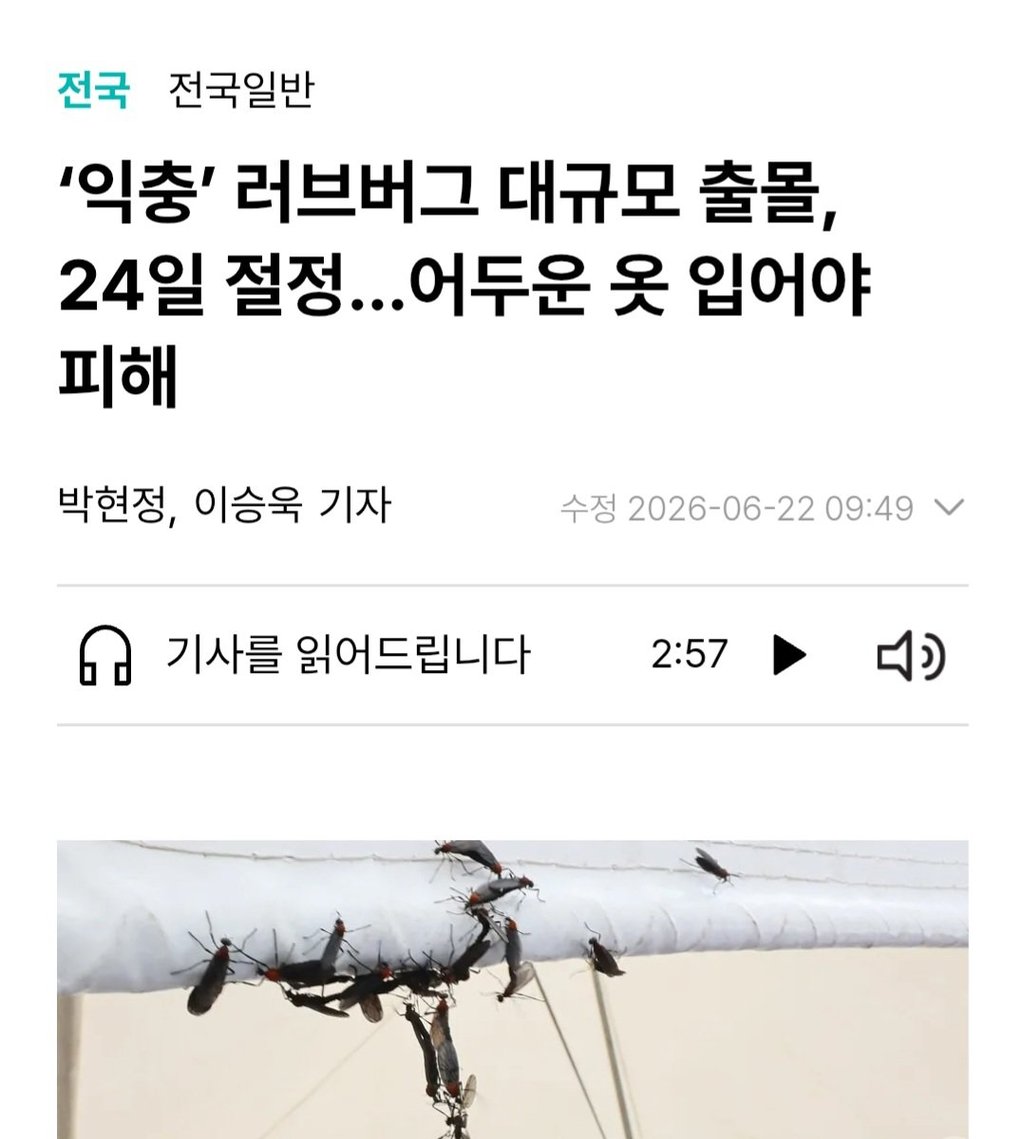 의외로 익충인 벌레 1