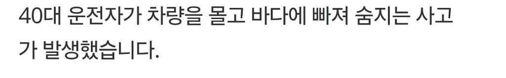 40대 운전자, 음주단속 피하다 바다로 추락해 사망 2