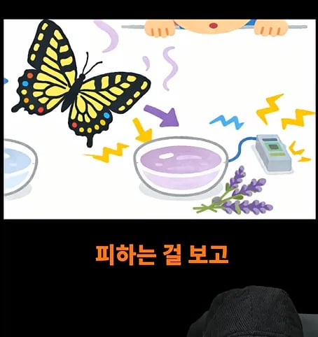 후천적 기억도 유전될 수 있다고??? 14