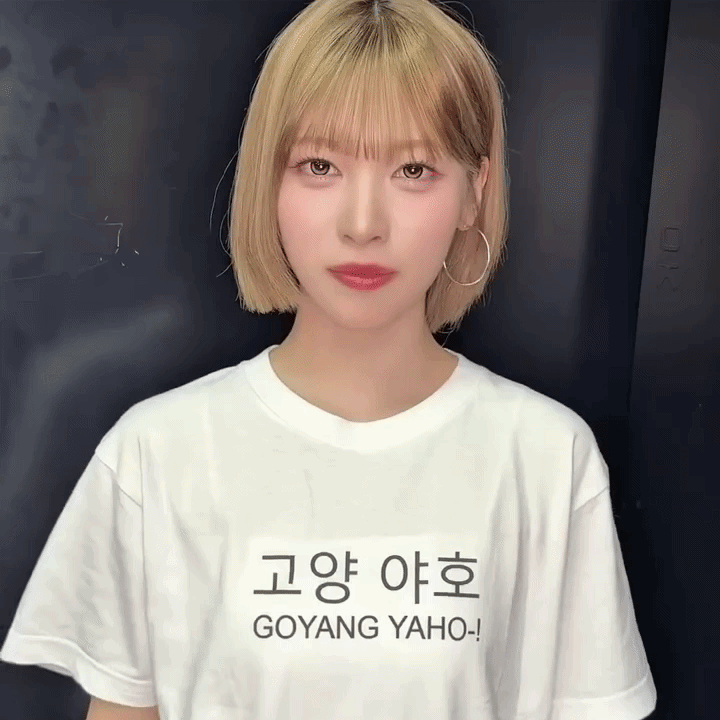 리센느 지역마다 다른 팀고르기 3