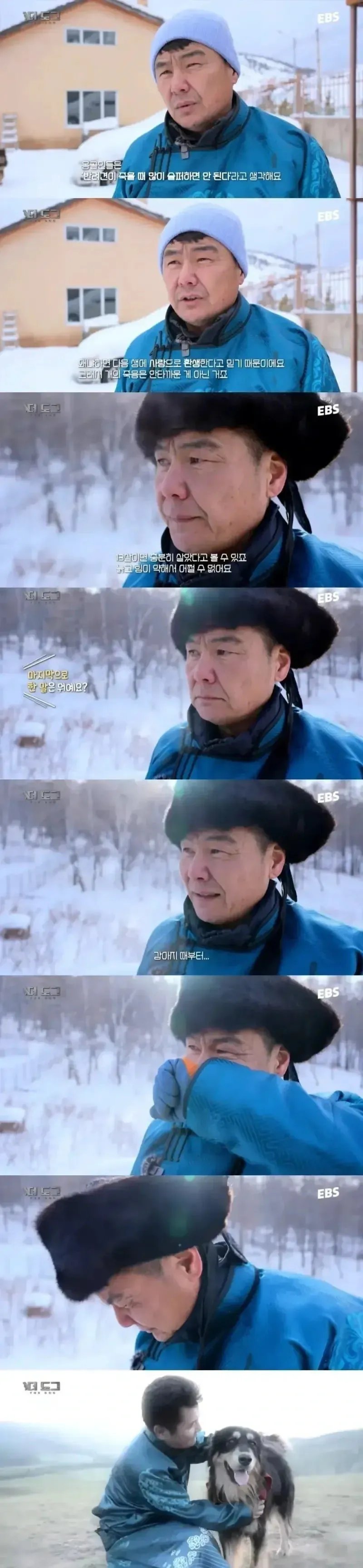 몽골인들이 반려견이 죽어도 슬퍼하지 않는 이유 2