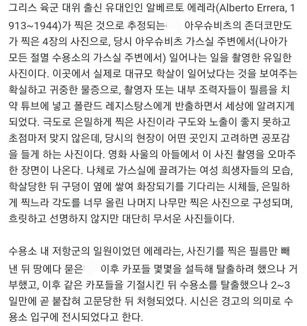 약혐) 아우슈비츠 가스실 주변에서 일어나는일을 촬영한 유일한 사진 12
