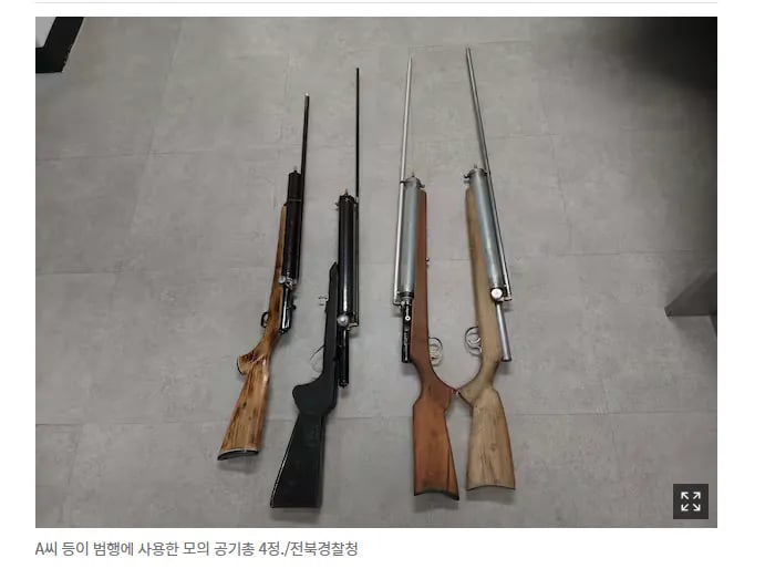 쇠구슬 사체총으로 비둘기 사냥하고 다닌 태국인 2명 강제 추방 1