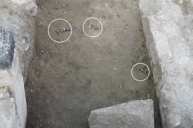 수많은 동물을 죽음으로 몰아넣은 고대 로마의 '지옥의 문' 5