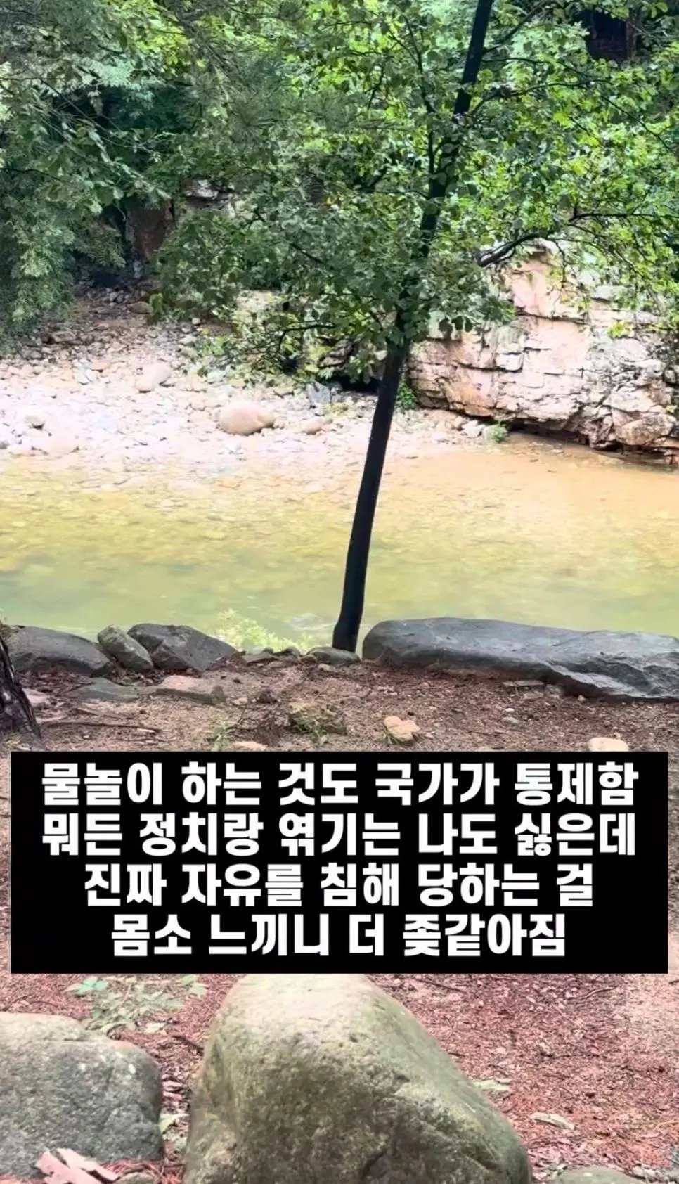 국가가 자유를 뺏는다 징징 거리는 놈 2