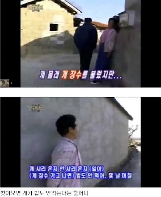 개는 개장수를 알아본다 3