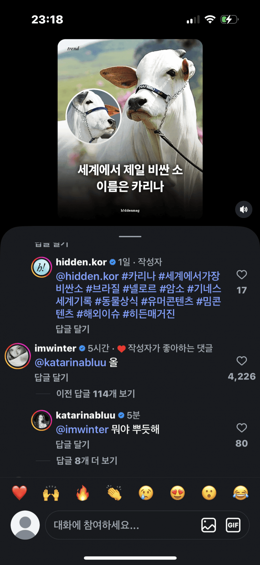 가장 비싼 젖소 카리나 1