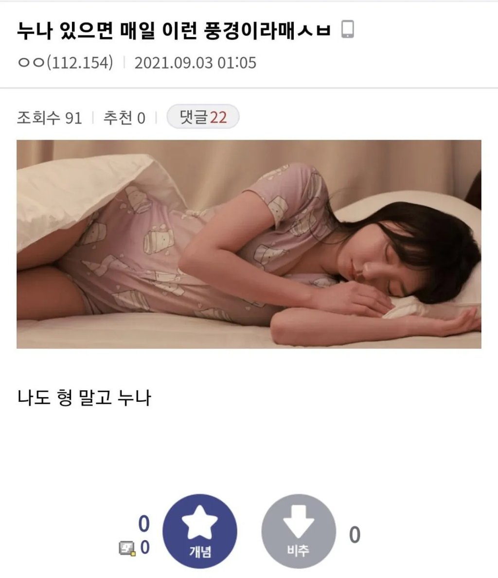디시인의 친누나 환상 1