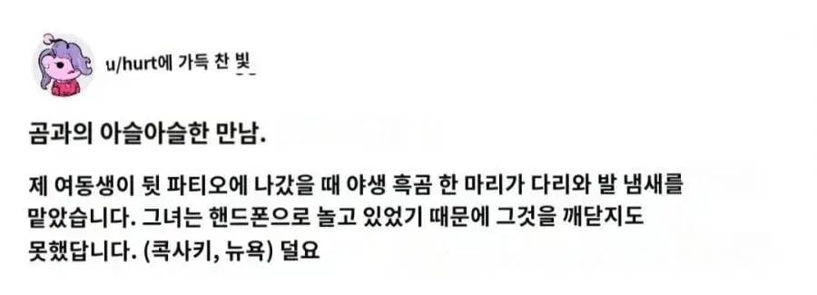 곰과의 아슬아슬한 만남