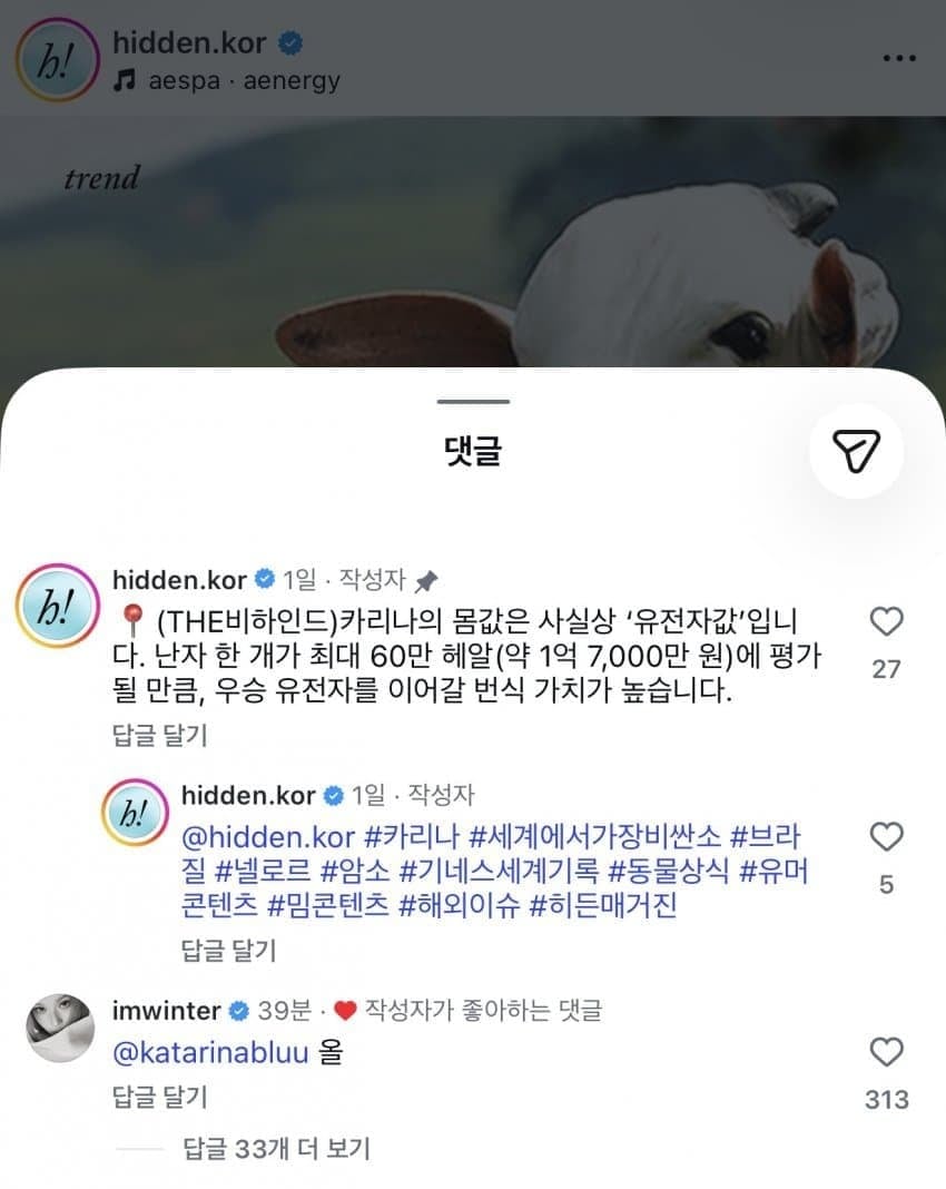 가장 비싼 젖소 카리나 2