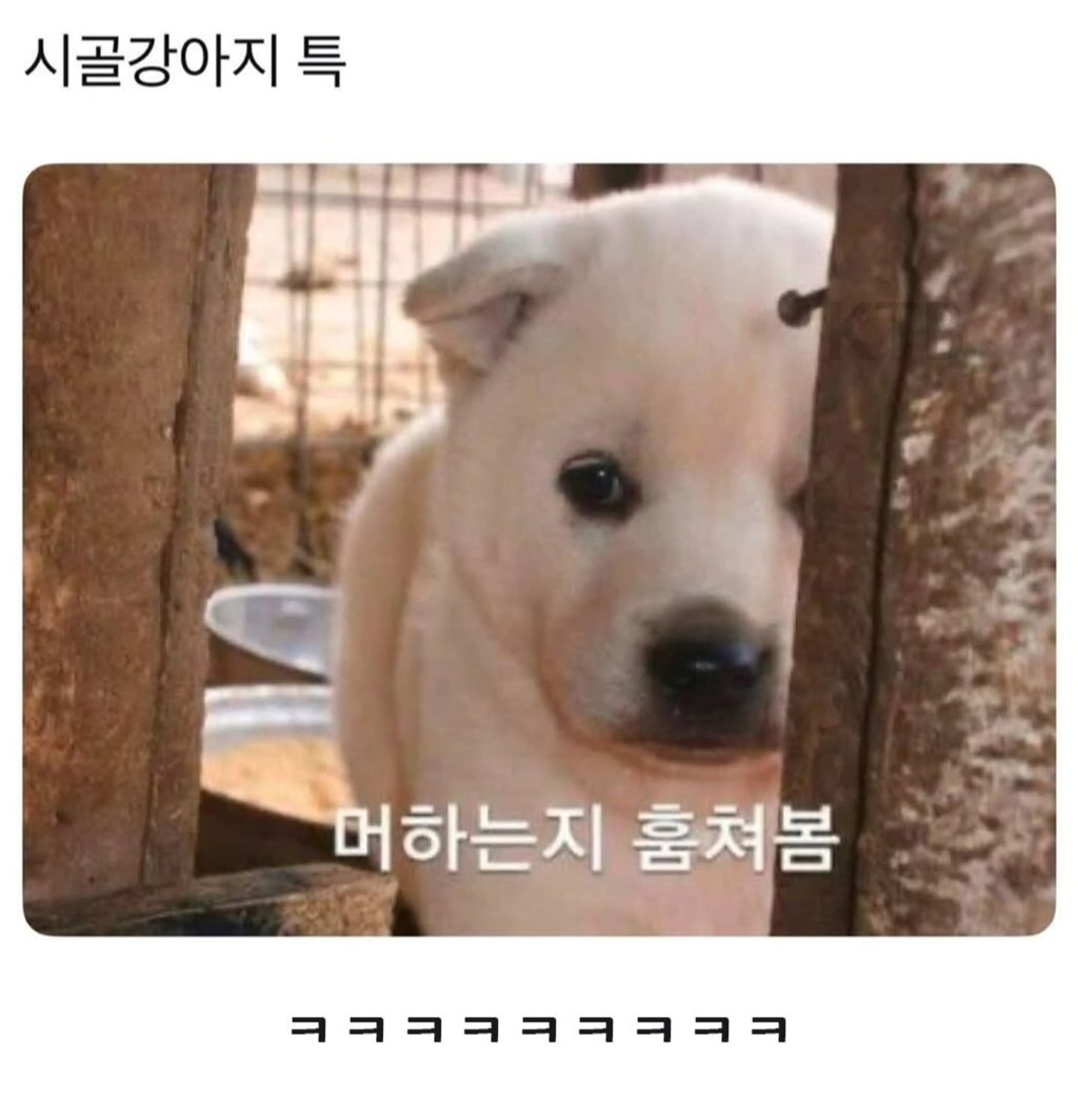 무시무시한 대한민국 시골 5
