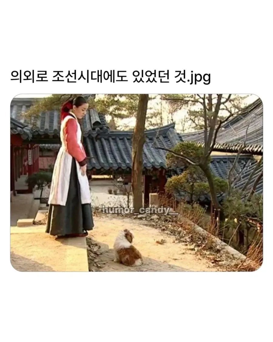 의외로 조선시대에도 있던것 1