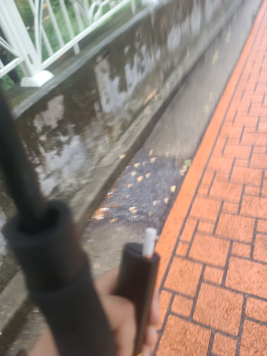 밋담