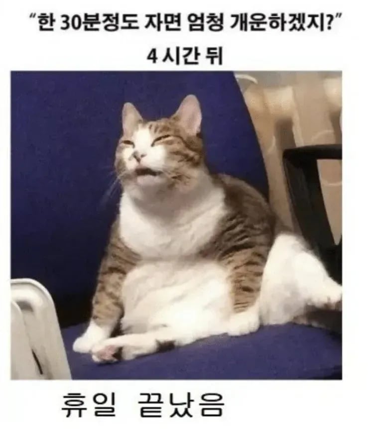 낮잠이 위험한 이유