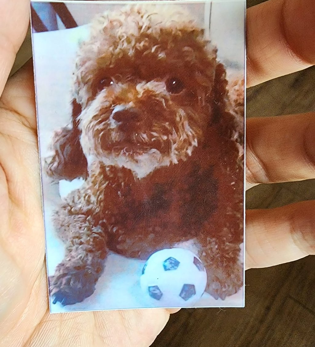 상금 전액 기부한 이주승 근황 4