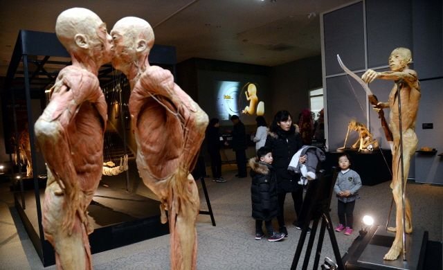 혐주의) 현대사회에선 절대 전시 불가능했을 전시전 ㄷㄷ 11