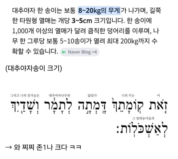 지혜의 왕 솔로몬, 여성 취향은 이랬다 2