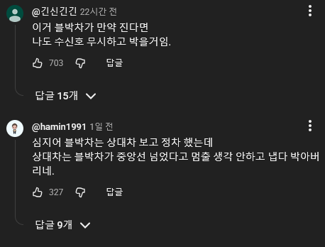 멈추라는 신호 무시한 트럭이 맞이한 결과