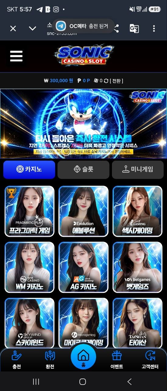 소닉