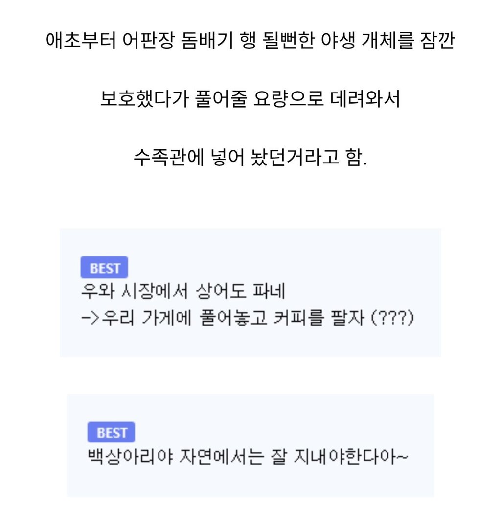 5일간 전세계 1위급이었던 한국 수족관 2