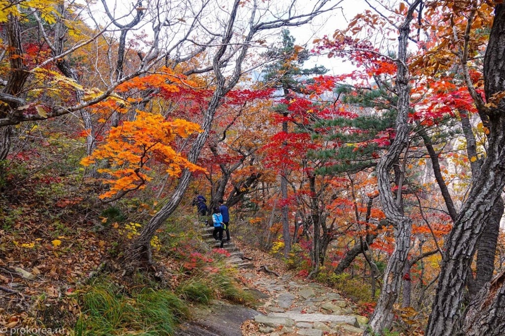 가을 북한 금강산 단풍 모습 2