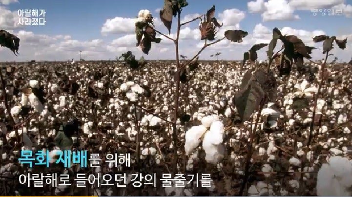 점점 사라지고 있다는 지역 2