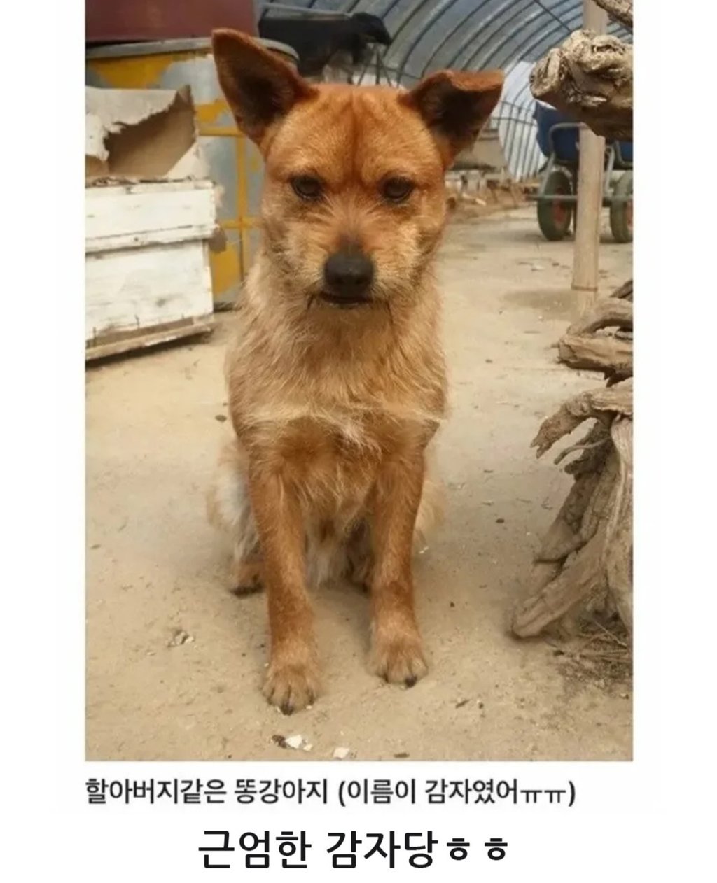 무시무시한 대한민국 시골 9