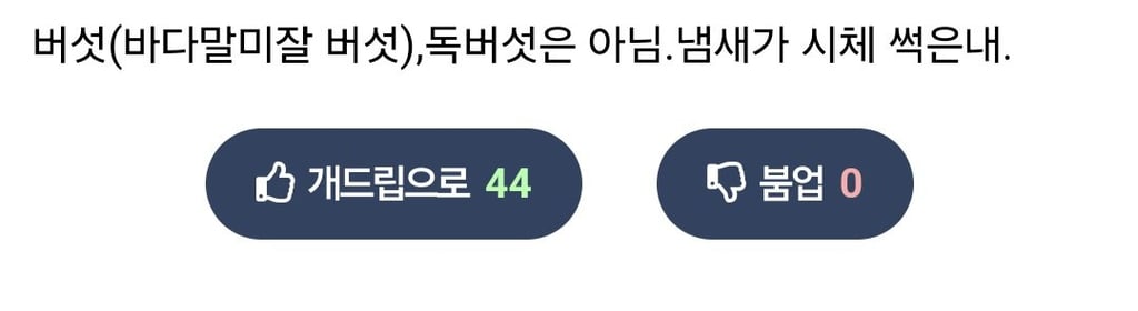 외계 생명체처럼 생긴 버섯 9