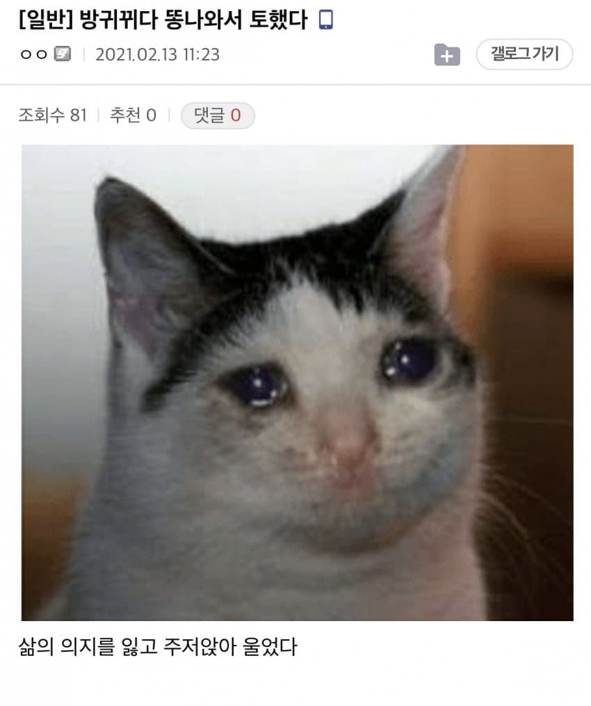 여초 커뮤니티 vs 남초 커뮤니티 2