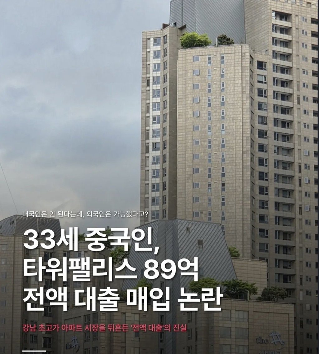 33세 중국인 강남 89억 타워팰리스 전액 대출로 매입 1