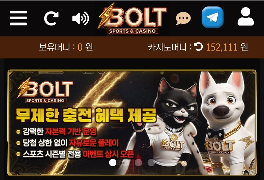 볼트카지노 후기 1