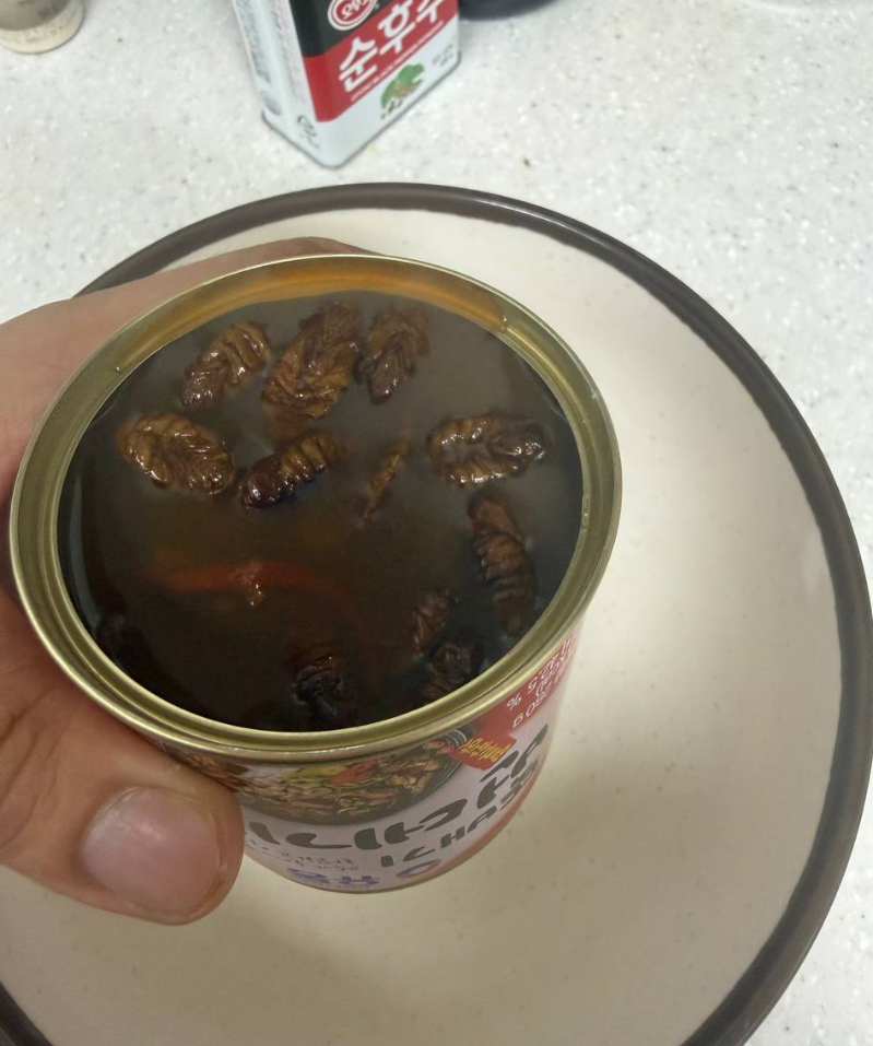 번데기 도전!!