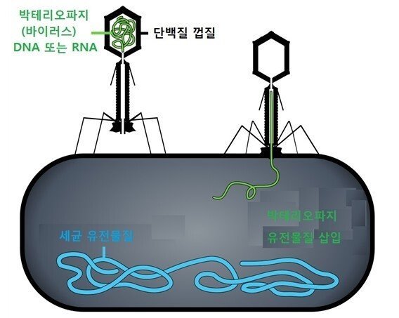 외계 생명체 비주얼을 가진 미생물 3