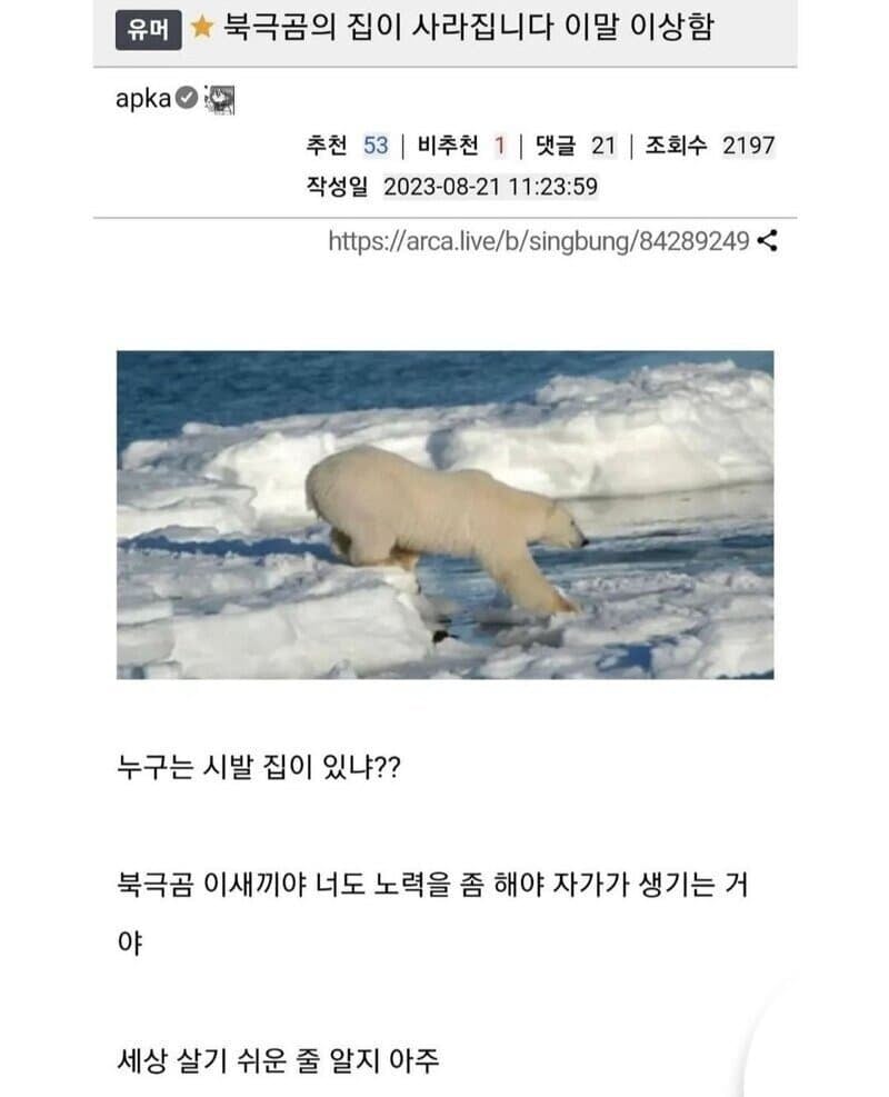 북극곰 한테 화난 사람